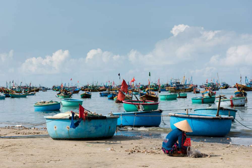 סירות סל בים מוי נה